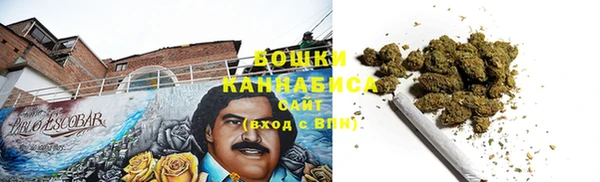 индика Ступино