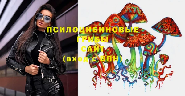 индика Ступино