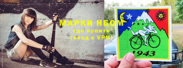 индика Ступино