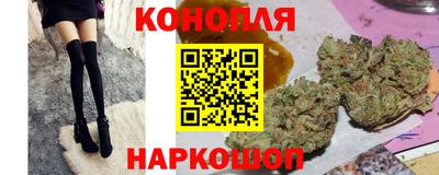 СК Гагарин