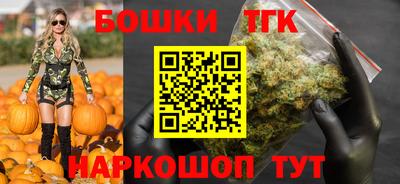 СК Гагарин