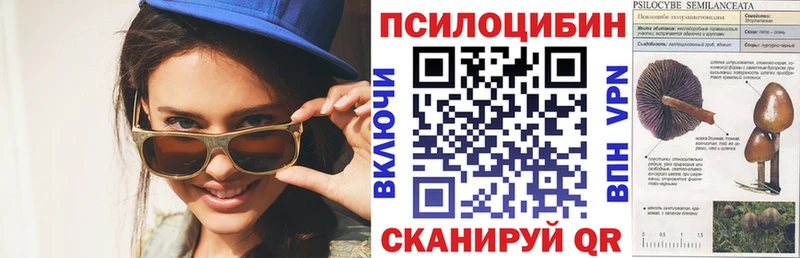 kraken tor  Златоуст  Галлюциногенные грибы Psilocybe 