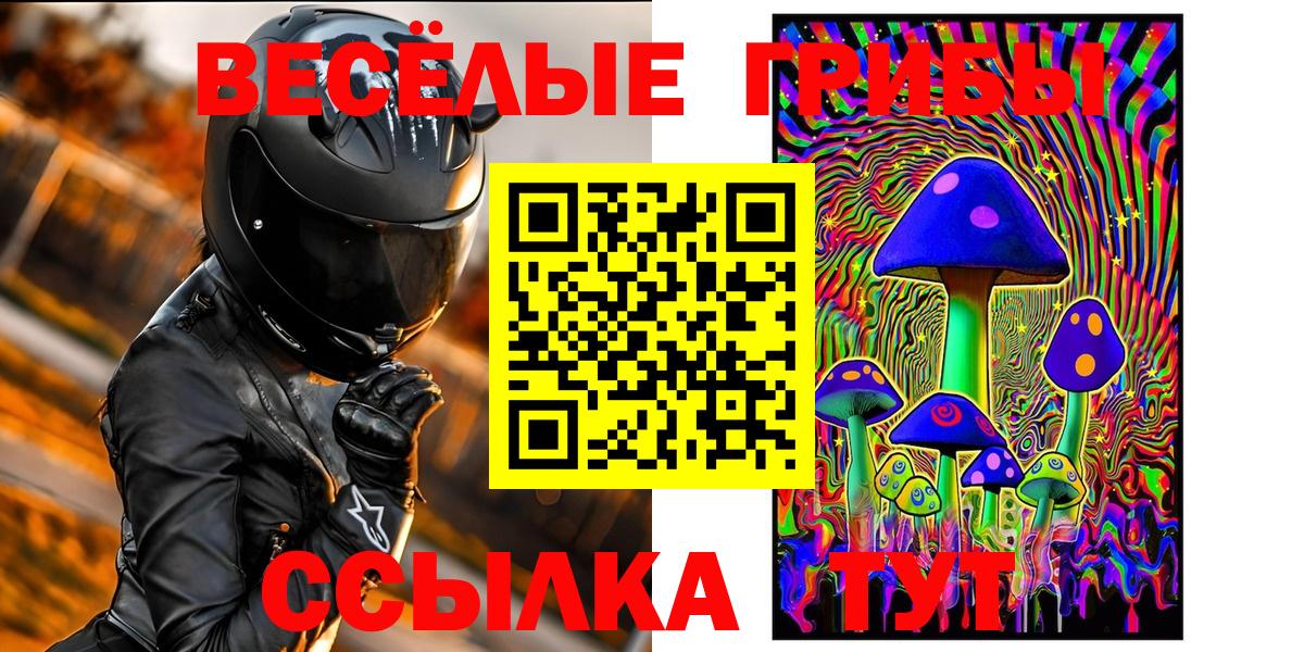 Псилоцибиновые грибы Psilocybe  Златоуст  Галлюциногенные грибы ЛСД 