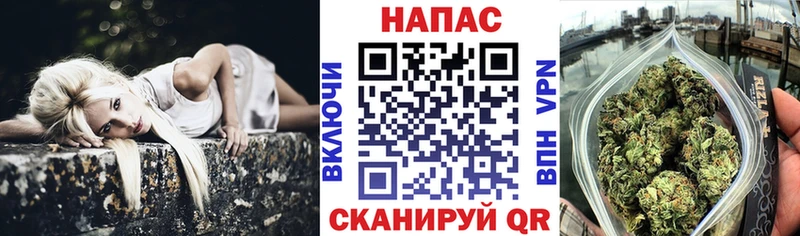 Бошки марихуана White Widow  ссылка на мегу зеркало  Златоуст  продажа наркотиков 